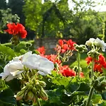 Campo Al Sole
