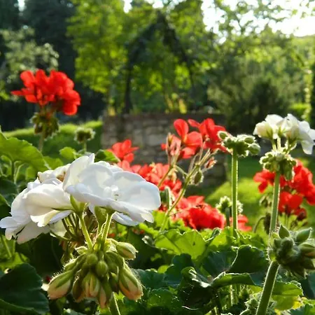 Campo Al Sole